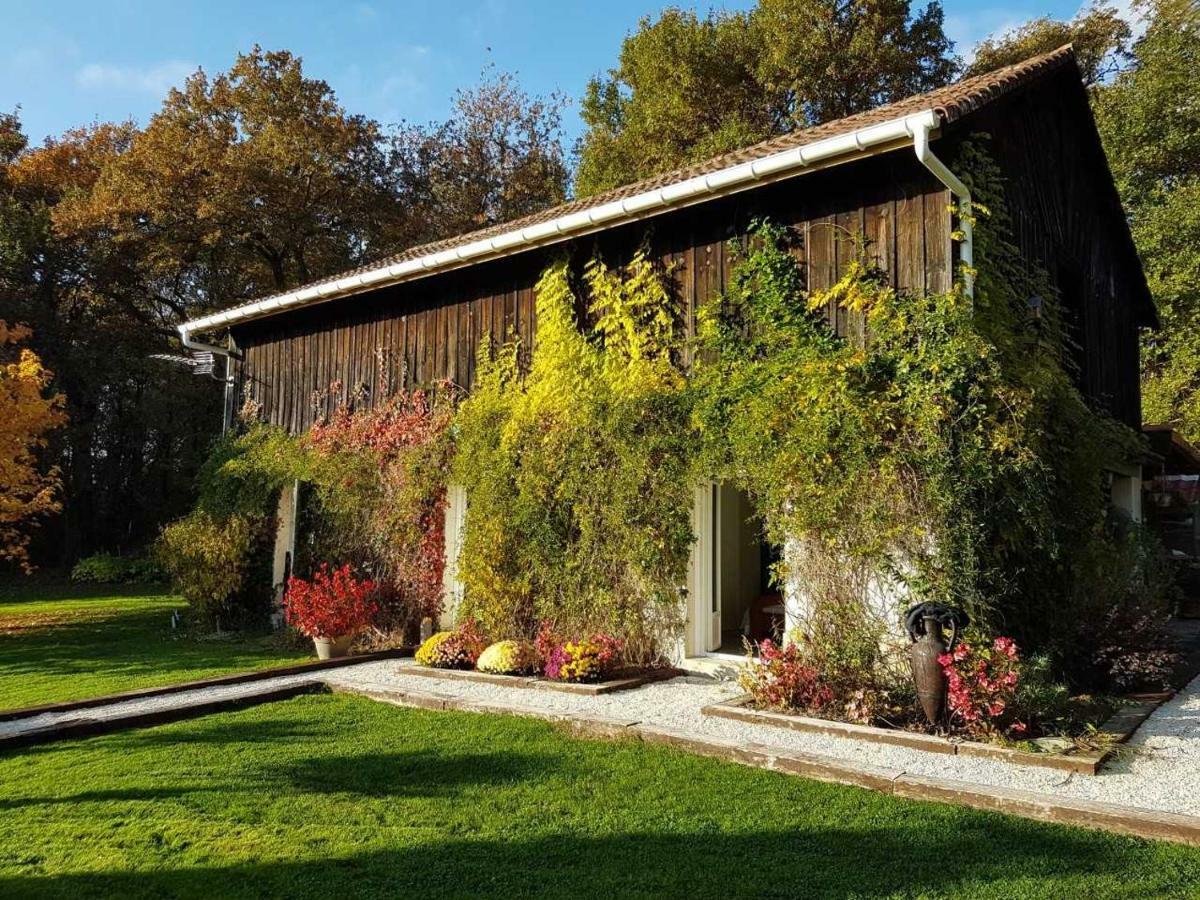 Gite Pigerot Lucbardez-et-Bargues Exterior photo